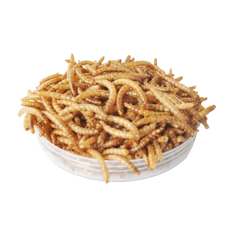 Yüksek Proteinli Atıştırmalıkl - Food Protein Snacks incelemesi ve fiyatı