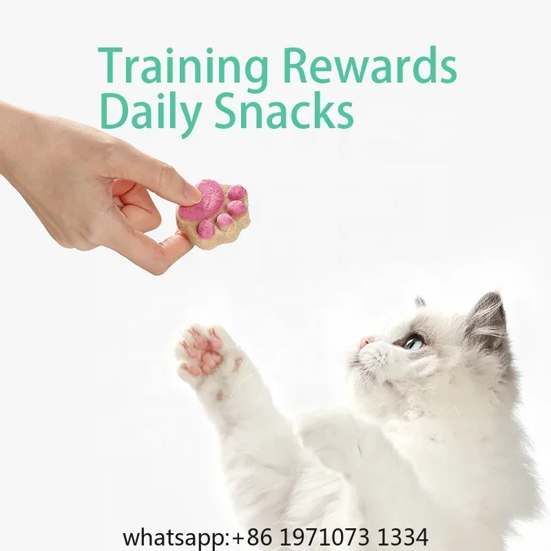 Kedi Dondurarak Kurutulmuş Atı - Food Protein Snacks incelemesi ve fiyatı
